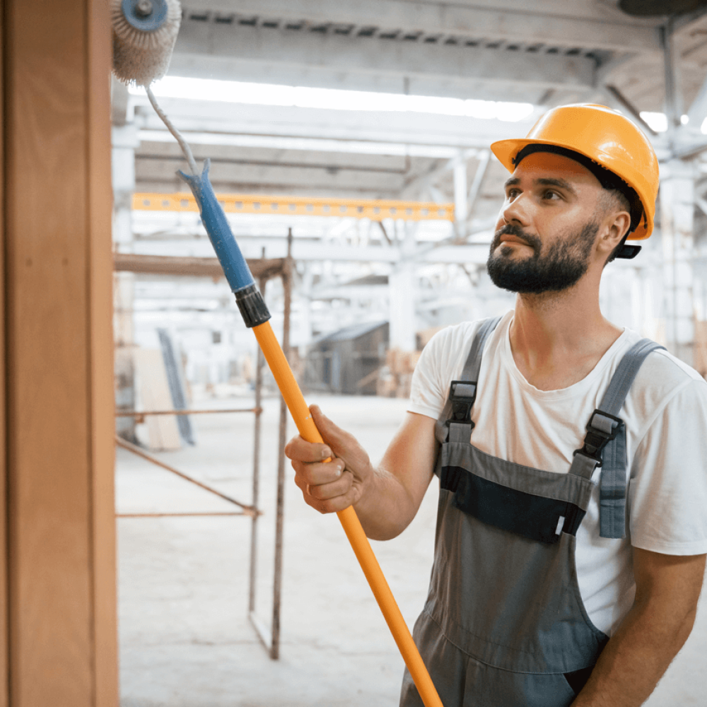 pintores-cabo-san-lucas29